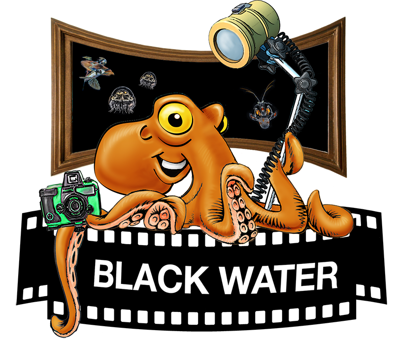 Black Water